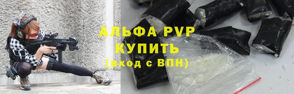 хмурый Верея