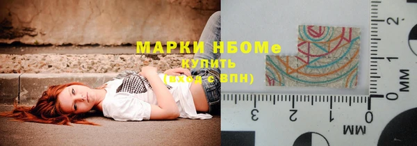 хмурый Верея