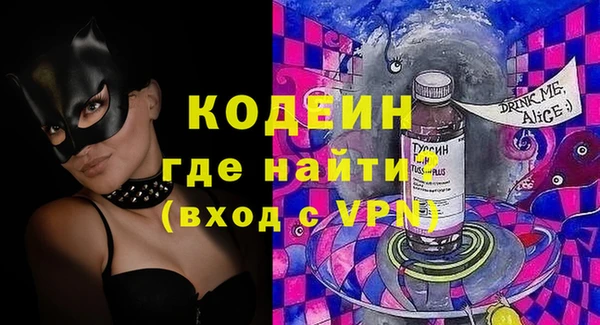 хмурый Верея