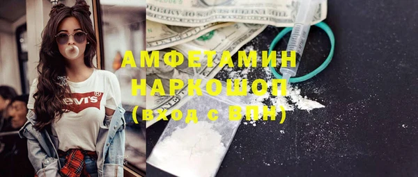 хмурый Верея