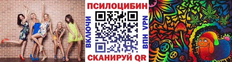 Псилоцибиновые грибы Psilocybe  купить наркотик  Голицыно 